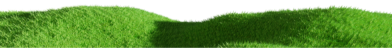 Grass Ground