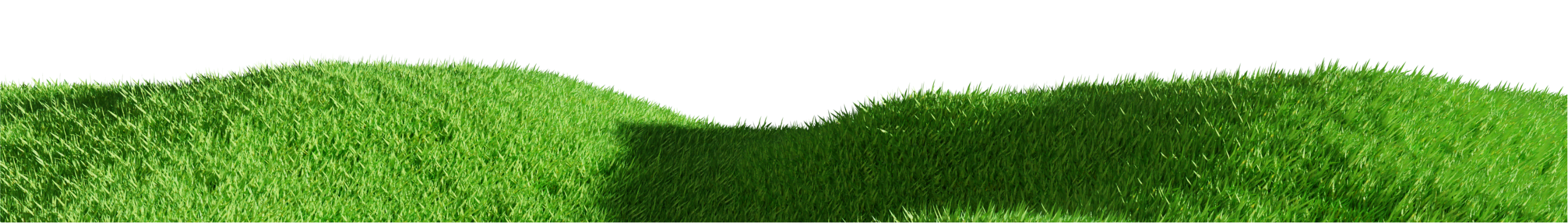 Grassland